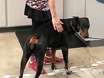Cum swapping zoo