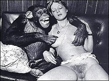 Penetrating zoo