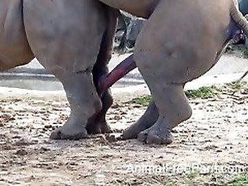 Masseuse zoo